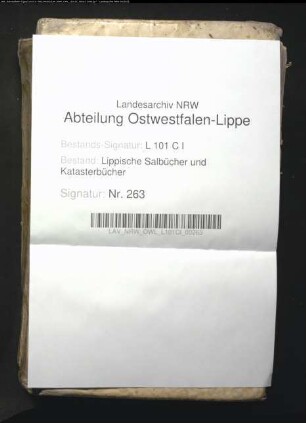 Salbuch der Vogtei Hohenhausen von 1780