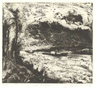 Elbe bei Gohlis