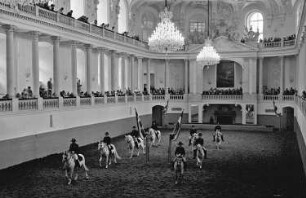 Wien: Spanische Reitschule, Training in der Reithalle