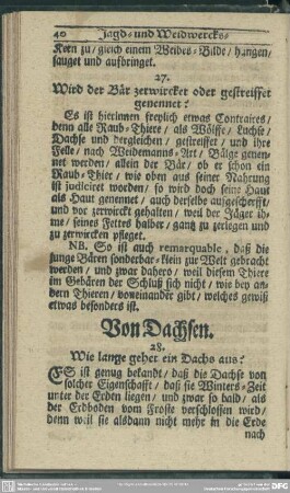 Von Dachsen