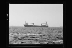 Ines (1987)