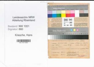 Entnazifizierung Hans Kriesche , geb. 16.07.1904 (Ingenieur)