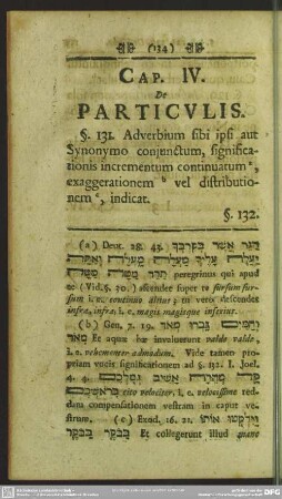 Cap. IV. De Particulis