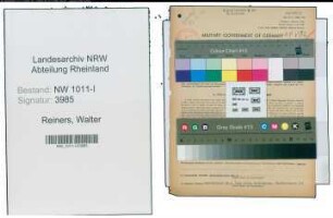 Entnazifizierung Walter Reiners , geb. 10.08.1908 (Fabrikant)