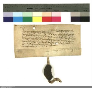 Lehenbrief Hermanns [von Buchenau], Abt von Fulda, für Hartung Hune über Wiesen in Lütterz