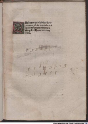 Disputatio eremitae et Raymundi super aliquibus dubiis quaestionibus Sententiarum magistri Petri Lombardi
