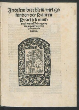 Jn disem biechlein wirt ge=||funden der Pauren || Practick vnnd || regel darauff sy das gantz || iar ain auffmercken || haben vnnd || halten.||