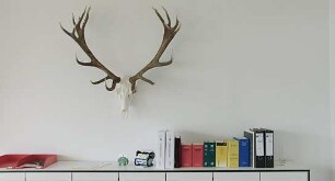 Auf der Jagd - Wem gehört die Natur?