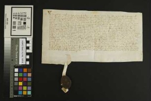 Gundersheim: Locatio über Güter