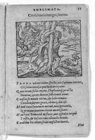 Conscientia integra, laurus.