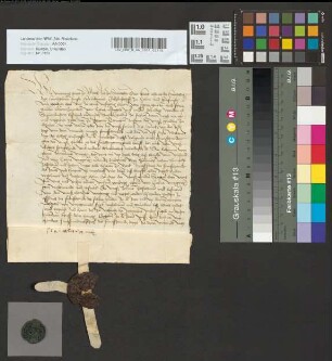 Quittung des Grafen Vincenz von Moers über 100 Gulden als Abschlag der 500 Gulden von dem Zoll zu Rheinberg.