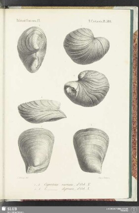 Pl. 580