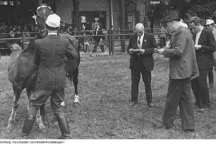 1. Landwirtschaftliche Leistungsschau, 8. Juli 1950