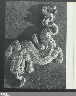 Drachen