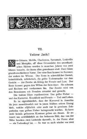 Yellow Jack