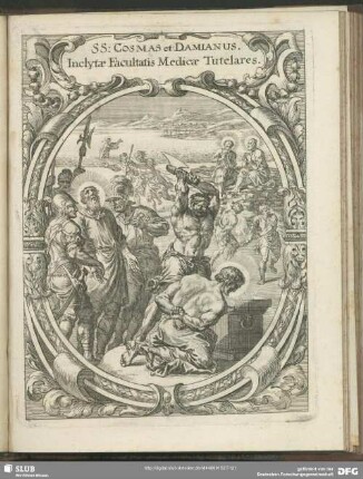 SS: Cosmas et Damianus. Inclytae Facultatis Medicae Tutelares