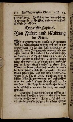 Das eilffte Capittel.
