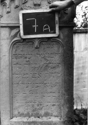 Grabstein 7 (Index: 99936891) Material: Sandstein Zustand: stark verwittert mit Textverlust Maße HxBxT: 155x52x24 cm Beschreibung: Stele, profilierter Sockel, giebelartiger Abschluß mit Verdachung und Volutenaufsatz mit Mittelakroter, Schriftfeld eingetieft mit zwei Spitzbogenabschlüssen Symbolik: Eichenlaub und Eicheln unter dem Abschluß, nach unten gesenkte Fackeln an beiden Seiten, Maßwerk, gestelztes Rundbogenfries: Grabstein 7A