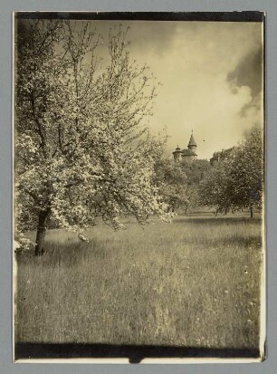 Am Berghang zur Heldburg/b. Meiningen