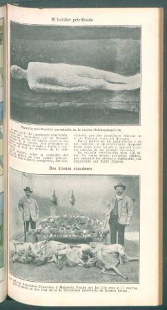 Dos buenos cazadores - [Fotografía]