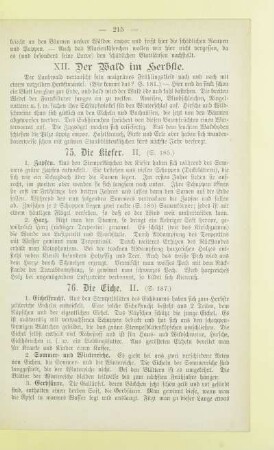 XII. Der Wald im Herbste