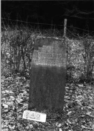 Grabstein 240