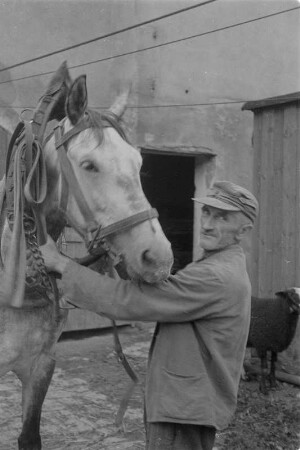 Landwirt mit seinem Pferd auf seinem Hof. : Ratar na swojim statoku ze swojim konjom.