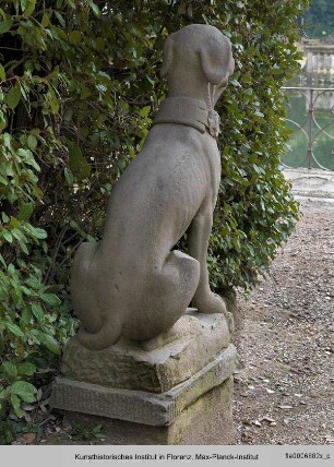 Zwei sitzende Hunde
