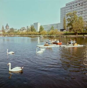 Schwäne vor einem Plattenbau in Karl-Marx-Stadt