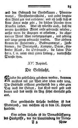 XV. Kapitel. Die Gelbsucht.