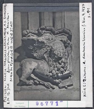 Meißen: Maria-Magdalenen-Kapelle, 2. Hälfte 13. Jhd., Markuslöwe