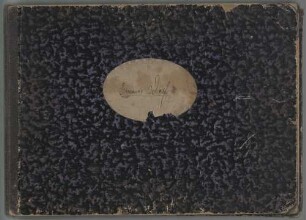 Sketches - BSB Mus.ms. 20790 : [label on cover:] Ermanno Wolf