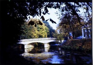 Hammereisenbach: Bregbrücke, B 31, im Herbstlaub