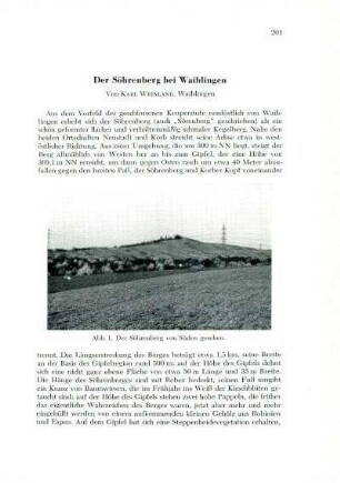 Der Söhrenberg bei Waiblingen