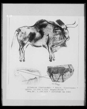 Wandmalerei in der Höhlenwohnung in der Altamira-Höhle: Bisons