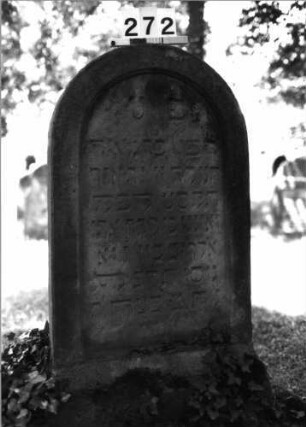 Grabstein 272 (Index: 100085120) Maße HxBxT: 128x68x30 cm Beschreibung: Stele, Sockel, Rundbogenabschluß, Schriftfelder eingetieft: Grabstein 272