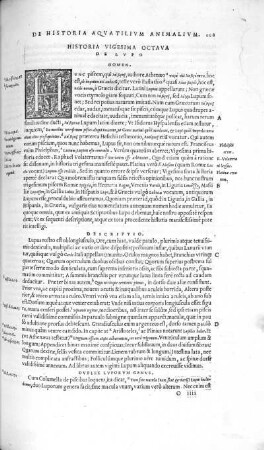 Historia Vigesima Octava. De Lupo