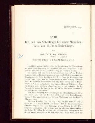 Ein Fall von Nebenlunge bei einem Menschenfötus von 11,7 mm Nackenlänge
