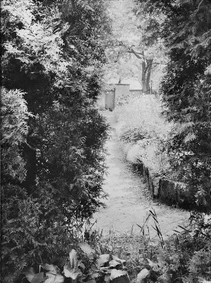 Dresden-Loschwitz. Wiesenpfad zu einer Pforte in der Einfriedungsmauer (vielleicht im Schloßpark von Schloß Eckberg (Villa Souchay)