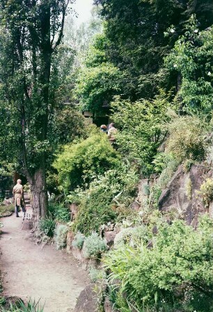 Pflanzengarten Stadt Wehlen : Pflanzengarten Stadt Wehlen. Partie mit Parkweg