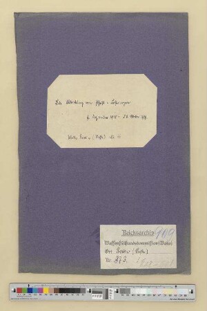 Abtretung von Elsass-Lothringen: Bd. 2