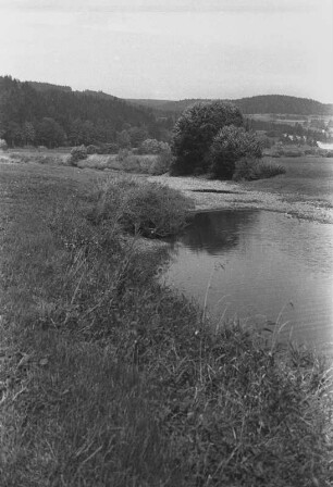 Donauversickerung : Blick auf eine Versickerungsstelle der Donau