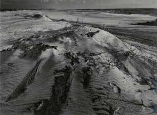 Sanddünen am Atlantik, südlich vom Porto, bei Costa Nova