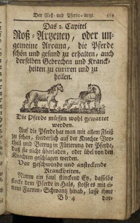 2. Roß-Arzeney ...