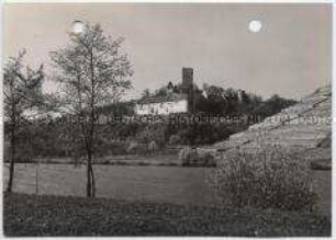 Heinsheim, Burg Ehrenberg und Neckar