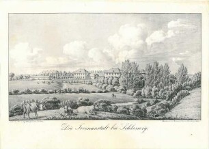 Die Irrenanstalt bei Schleswig
