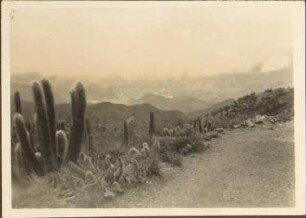 Blick auf den Río San Juan del Oro