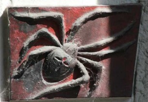 Insekten: Spinne