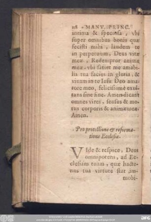 Pro protectione & reformatione Ecclesiae.