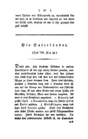 ¬Die¬ Saterländer : Taf. VIII, Fig. 38